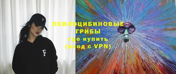 трава Бородино