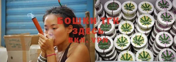 молекула духа Белая Холуница