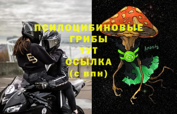 трава Бородино