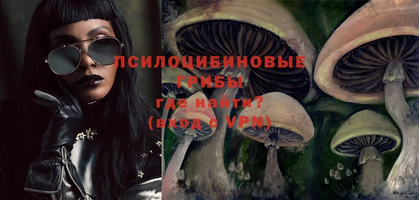 кокаин Белокуриха