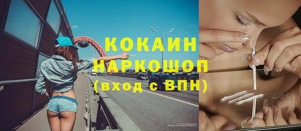 трава Бородино