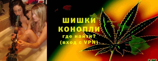 трава Бородино